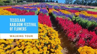 4k60 Tesselaar Kabloom Festival of Flowers 2023  Montrose Victoria Walking Tour [upl. by Enelyt]