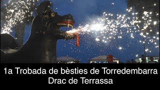 1a Trobada de bèsties de Torredembarra  Drac de Terrassa [upl. by Salvay427]