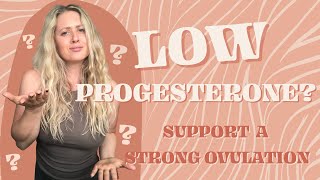 Low Progesterone How To Increase Progesterone  4 Tips [upl. by Willms27]