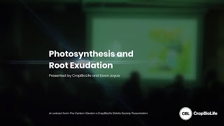 Photosynthesis and Root Exudation [upl. by Nylrad]