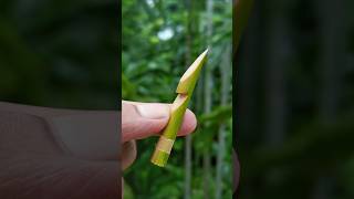 Bamboo creations with Bamboo Stick Slingshots bamboo bamboocrafts Diy slingshots bambooart [upl. by Alida]