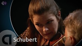 Schubert Pianotrio in Besgroot D 898  Janine Jansen amp Friends  Kamermuziek Festival 2011 [upl. by Oam]