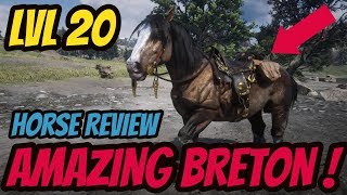 LEVEL 20 BRETON IS AMAZING  Red Dead Online [upl. by Kawasaki]