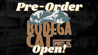 Bodega Cat is Here [upl. by Ayala]