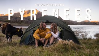 3 Days WILD CAMPING in the PYRENEES SPAIN  FRANCE [upl. by Palladin]