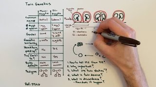 Twin Genetics and Types of Twins [upl. by Magbie]