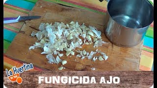 Como Preparar Fungicida Casero Con Ajo  Hongos  La Huertina De Toni [upl. by Trilbee951]