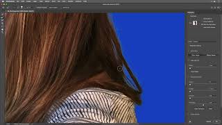 Photoshop CS5 amp CS6 Refine Edge amp Quick Selection tool Tutorial [upl. by Weiman]