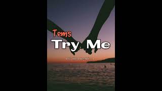 TemsTry me  DVHD Remix [upl. by Novihs]