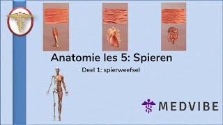 Anatomie les 5 Deel 1 Spierweefsel [upl. by Dragoon]