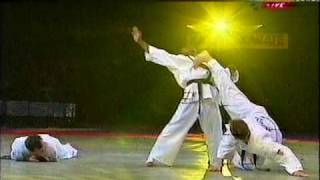 Nanbudo Budo gala Paris Bercy 1999 [upl. by Fife]