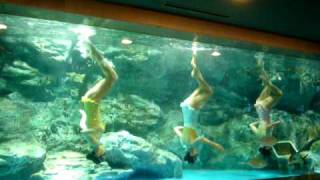 Synchronised swimming to Michael Jackson [upl. by Naol]