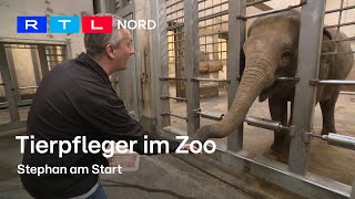 Ein Tag als Tierpfleger im Zoo Hannover  Blick hinter die Kulissen [upl. by Nnael]