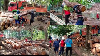 semangat 45 ‼️Tenaga buruh angkat berat muat kayu 2 truck gandeng selesai dalam sehari [upl. by Vadnee42]