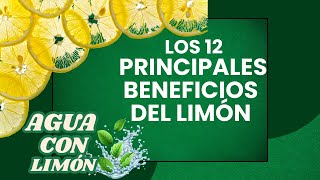 12 INCREÍBLES BENEFICIOS QUE DEBES CONOCER DE LA LIMA PARA MEJORAR TU SALUD AHORA [upl. by Evadnee3]