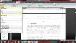 Tuto Sommaire word 2007 [upl. by Eydnarb913]