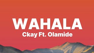 Ckay Ft Olamide  Wahala Lyrics Video [upl. by Ecyar]