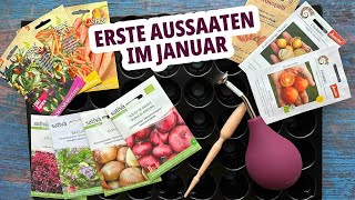 Was kann man im Januar säen Tipps und Tricks für die frühe Anzucht [upl. by Raskin904]