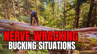 150 Sketchy Bucking  Pinched BackCut Trick [upl. by Yelir549]