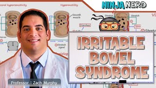 Irritable Bowel Syndrome IBS  Clinical Medicine [upl. by Easlehc429]