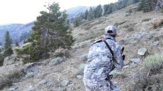 quotHIGH AND LOWquot Bowhunting Blacktails in the High Country [upl. by Esinert347]