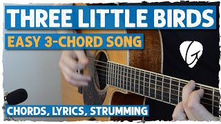 quotThree Little Birdsquot Easy 3Chord Song  A D E Chords  Perfect For Beginners  Bob Marley [upl. by Airun471]