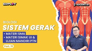 SISTEM GERAK  Materi Biologi SMA Ujian Mandiri PTN dan Perkuliahan  Part 15 [upl. by Nirroc944]