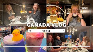 Drinks med dyr Fairmount afternoon tea amp Thanksgiving  Julie’s år i Canada vlog 14 [upl. by Nahtanaoj]