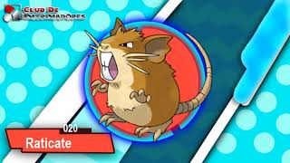 020 RATICATE POKEDEX [upl. by Nocam]