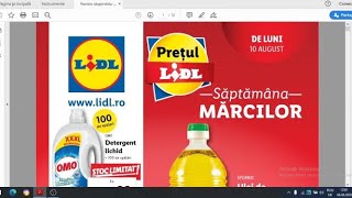 Catalog LIDLMega Oferte LIDL baby lorry [upl. by Ayhtak]