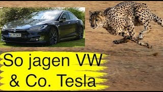 58 So jagen VW Audi Daimler Jaguar Tesla [upl. by Herra407]