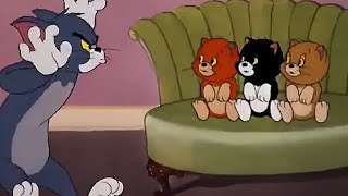 Tom and Jerry  Tom and jerry hindi cartoon  Tom and Jerry cartoon  hindi cartoon part 3 [upl. by Meredith]