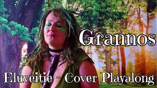 Eluveitie Grannos  Cover  Playalong mit der Alt und Sopranino Blockflöte [upl. by Ellehcrad908]