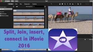 iMovie Basics Video editing tutorial for beginners [upl. by Trainor]