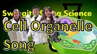 cell organelles song ice ice baby parody [upl. by Armallas]