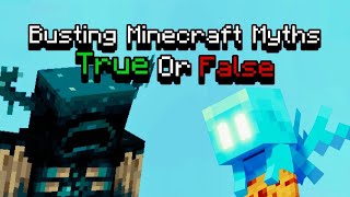 Busting the most crazy Minecraft 119 Myths [upl. by Borreri]