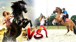 Paardenfilms 🐴🎥 VS De realiteit 😓 [upl. by Argus]