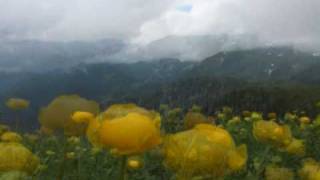 Monte Redondo per il Sentiero delle Malghe Gromo Spiazzival Seriana [upl. by Almita]