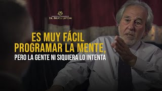 La ciencia que cambiará su futuro ¡EL DR BRUCE LIPTON EXPLICA CÓMO REPROGRAMAR TU MENTE [upl. by Smoot]