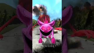 EVOLUTION SMILING CRITTERS PICKY PIGGY POPPY 3 VS KNUCKLES TAPES in Garrys Mod  smilingcritters [upl. by Parthenia]