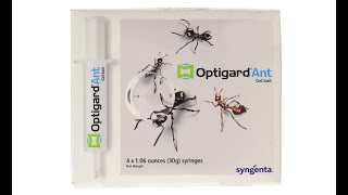 Syngenta  TRTD11568  Optigard Ant Bait Gel Box  4 Tubes wPlunger  30g Each Tube  Overview [upl. by Ahsed]