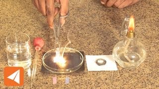 Magnesium Oxide and water Acids amp Bases  Chemistry [upl. by Yentterb]