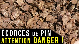 Un Paillage Naturel à FUIR  Les Écorces de Pin [upl. by Manas]