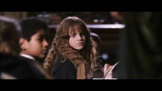 Harry Potter and the Order of the Phoenix  christmas scene HD [upl. by Malita]