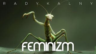 RADYKALNY FEMINIZM  PRAWDZIWA HISTORIA [upl. by Amaral686]