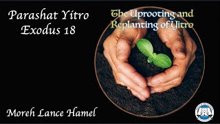 Parashat Yitro quotThe uprooting and replanting of Yitroquot [upl. by Ahsatniuq993]