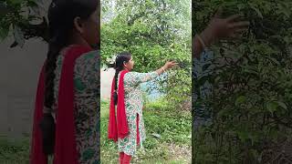 Mausam bada aashikana haisong shortvideo [upl. by Adolphus]