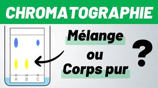 CHROMATOGRAPHIE sur couche mince ✅ MÉTHODE 💪 Seconde [upl. by Stoeber]