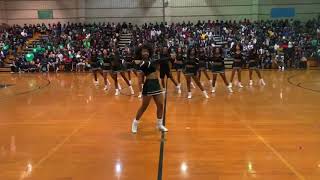 Southeast Raleigh Cheer Homecoming 2019 [upl. by Terej]