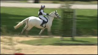 HICKSTEAD arena eventing 8085cm class [upl. by Tterrag]